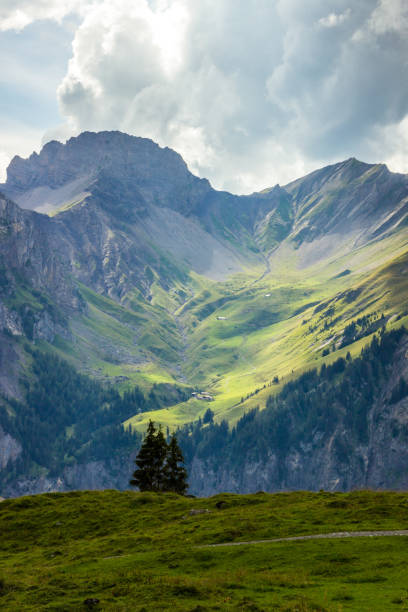 istock mountain trail in Swiss Alps 1323297649