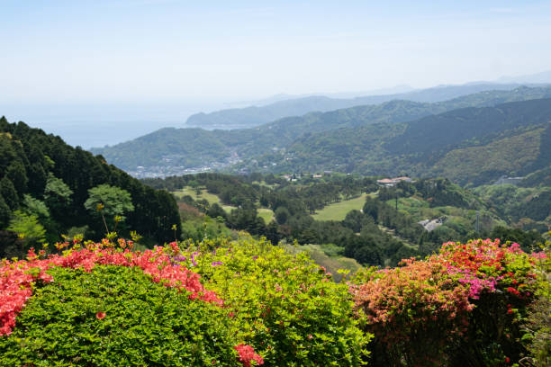istock A view from Himenosawa park in Atami 1323298836