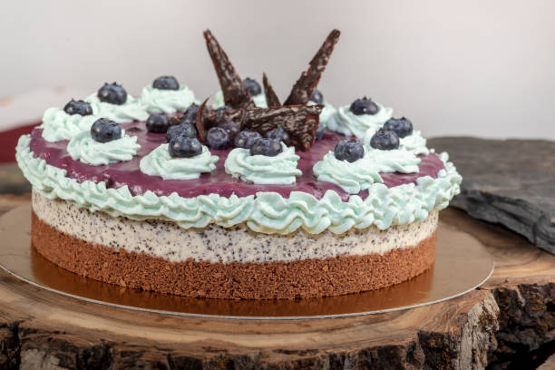 Cheesecake with poppy seeds and blueberries