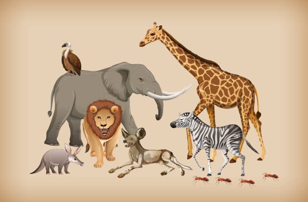 背景上の野生動物のグループ - aardvark点のイラスト素材／クリップアート素材／マンガ素材／アイコン素材