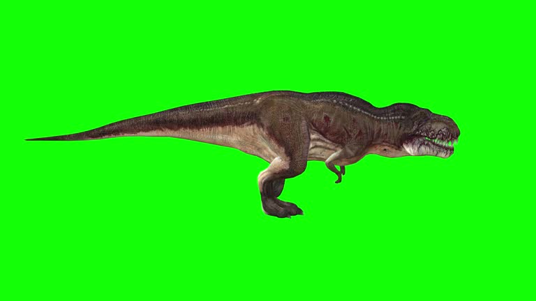 Dinosaurio - Banco de vídeos libres de derechos - iStock Dinosaurio - Banco de vídeos libres de derechos - iStock