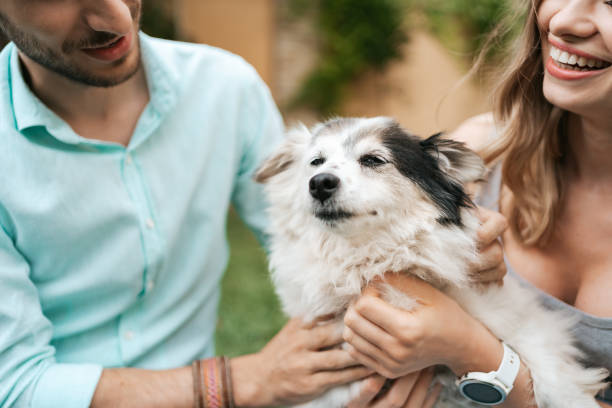 istock Beautiful couple with a dog on the grass 1323310252