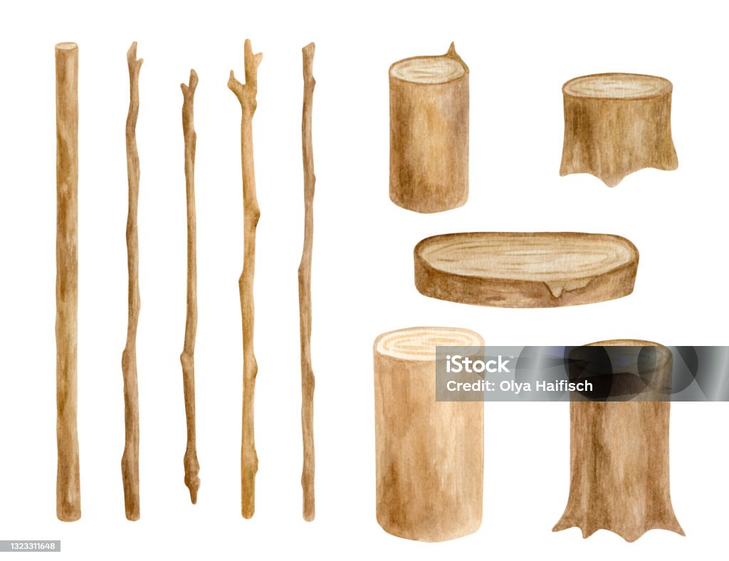Watercolor Wood Sticks And Stumps Set Hand Drawn Tree Branches Wooden Slice  Isolated On White Bare Twigs Decoration Rustic Natural Eco Style Design  Stock Illustration - Download Image Now - iStock