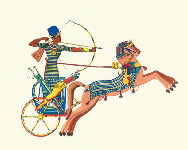 Ancient Egyptian chariot archer, Warfare in the ancient world Vintage illustration, Ancient Egyptian chariot archer, Warfare in the ancient world ancient egyptian art stock illustrations