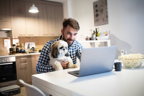 istock Working from home during coronavirus crisis stock photo 1323313614