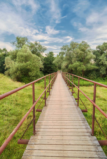 istock Bridge over a river in the summer forest 1323314362