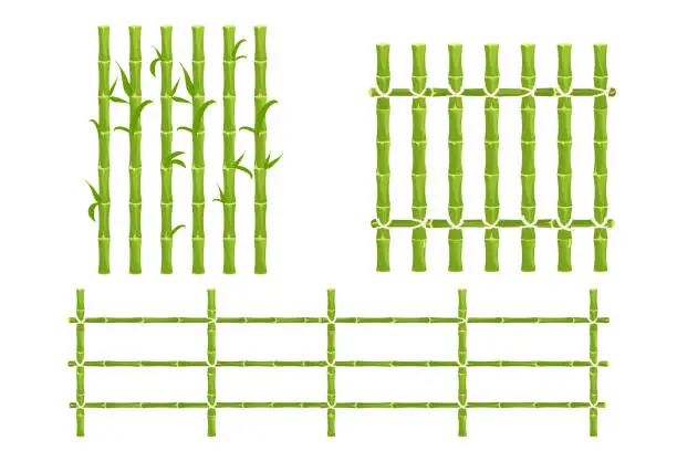 Vector illustration of Set green bamboo fence with rope, picket from sticks, nature wall in cartoon style isolated on white background. Natural barrier from sticks, planks. Rustic outdoor protection. Asian, tribal. Vector illustration
