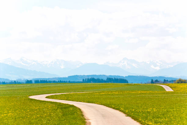 高山草原を蛇行する道 - meadow bavaria landscape field ストックフォトと画像