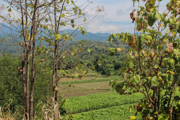 istock View of the mountain landscape from afar 1323320431