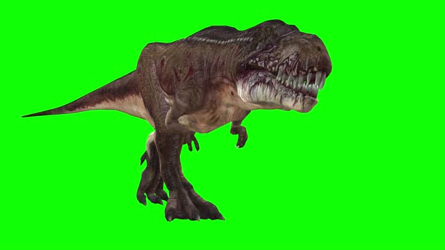 60+ Free Dinosaur & Animal Videos, HD & 4K Clips - Pixabay