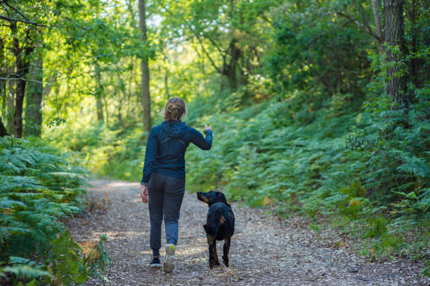 istock young woman walking with her dog in the forest paths 1323321116