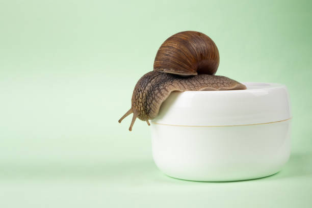 istock snail mucin curative cream with copy space,skin care 1323323165