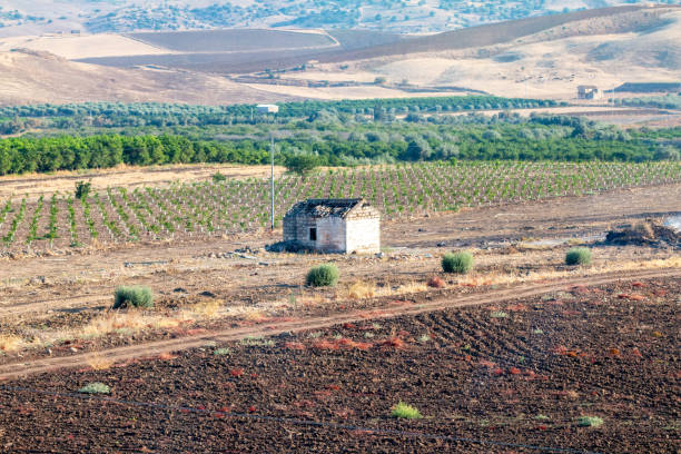 Abandoned Hut in Messina Province, Sicily