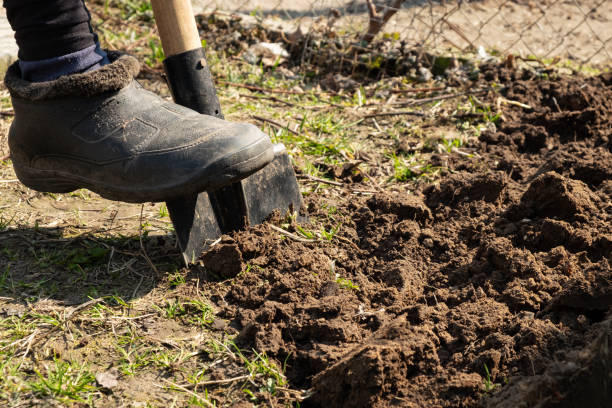 istock garden processing,leg man digging the ground spring planting 1323323415