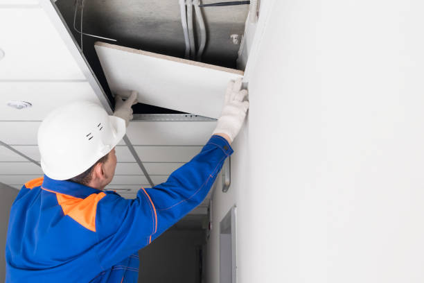 istock a worker in a helmet repairs a suspended ceiling after a disaster 1323326940