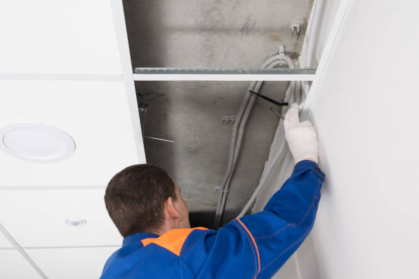 istock foreman checks the wiring on the ceiling, rear view 1323327019