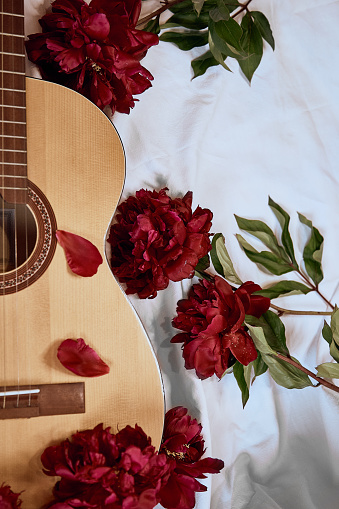 An acoustic wooden guitar lies on a white sheet surrounded by red peonies. Cover for music album, music concept, guitar playing, romantic serenade