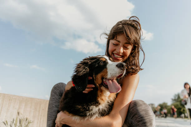 istock Come here you little fluffy cute dog 1323328356