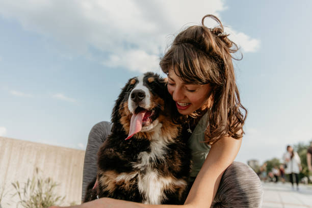 istock Woman adopt abandoned dog 1323328440
