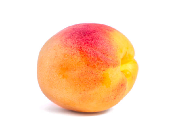 свежий абрикос, изолированный на белом фоне, фрукты - georgia peach стоковые фото и изображения