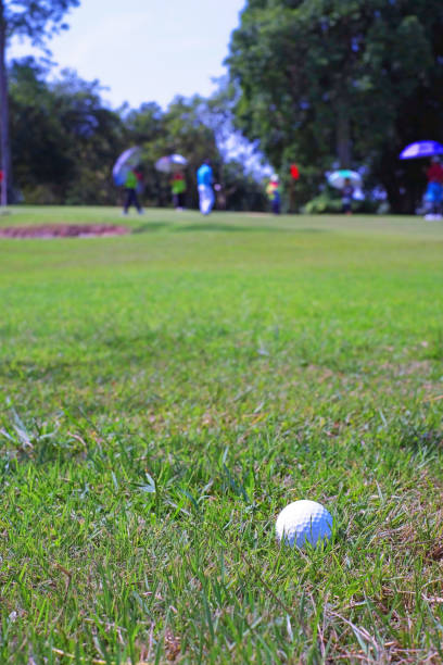 istock A white golf ball in golf field on blur background 2 1323329729