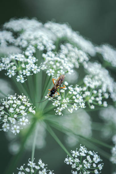 istock Nature landscape photos 1323335025