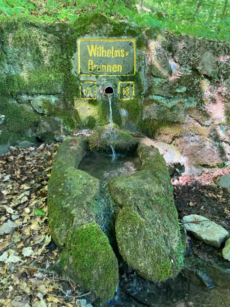 istock Natural Chalice Well Germany 1323335790
