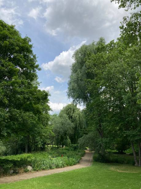 istock Outdoor Park Picture 1323337447