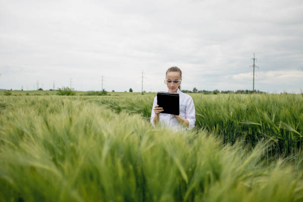 istock Young woman farmer wearing white bathrobe is checking harvest progress on a tablet at the green wheat field. New crop of wheat is growing. Agricultural and farm concept. 1323338965