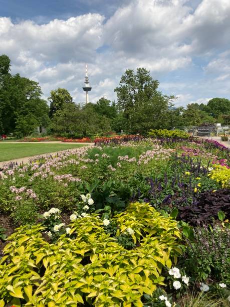 istock Colorful Flowers in Park 1323339031