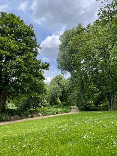 istock Beautiful Park in Germany 1323340477