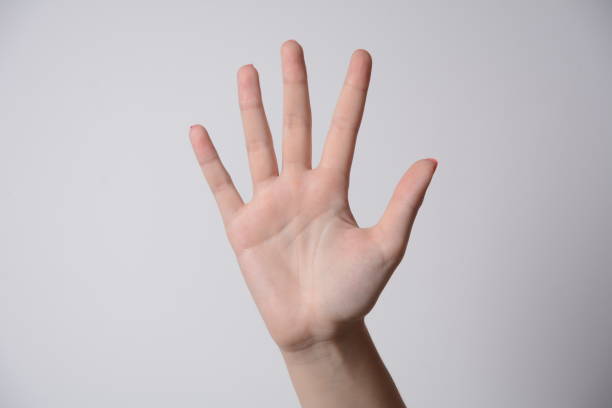 istock Female hand extended in greeting isolated on white. Number five. 1323341749