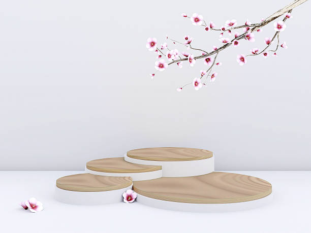 istock Scene with podium for mock up presentation in minimalism style with copy space, 3d render abstract background design 1323341779