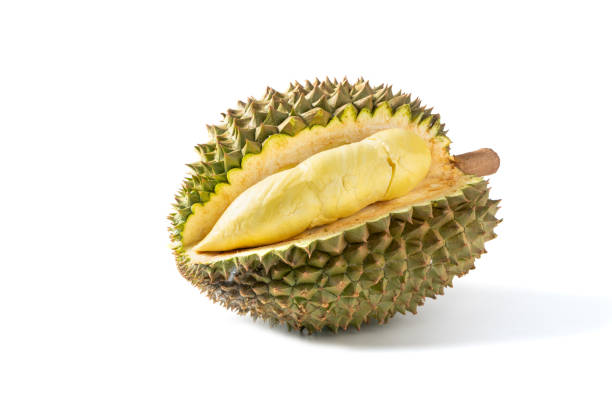 istock Ripe Monthong Durian fruit isolated on white background, 1323342637