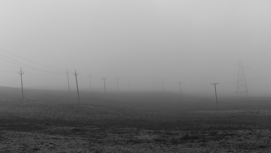 Black and White picture of three lines of telegraph poles leading into the distance in a field in the fog with an electricity pylon.
