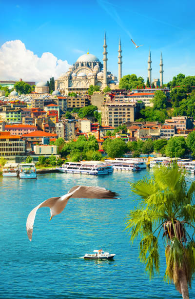 istock Palm tree and Suleymaniye Mosque 1323349497