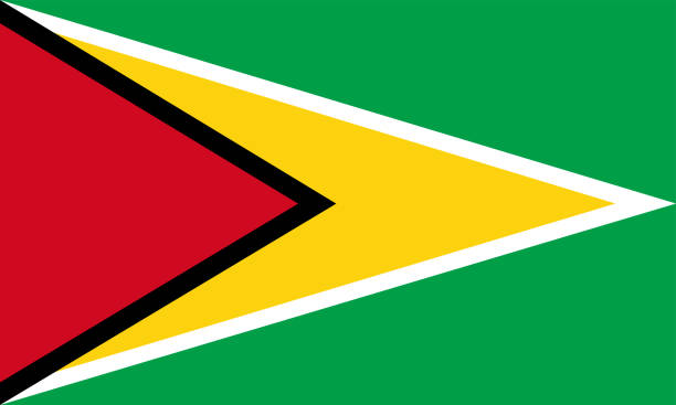 die nationalflagge der welt, guyana - flag of guyana stock-grafiken, -clipart, -cartoons und -symbole