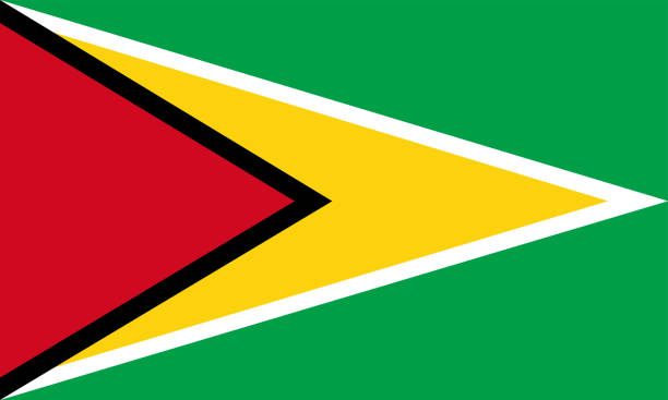 The national flag of the world, Guyana The national flag of the world, Guyana guyana stock illustrations