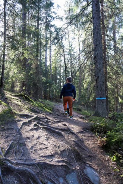 istock Boy is walking along a footpath in Tyresta national park 1323351967