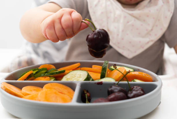 Unrecogniable caucasian baby about 1 year old, eating from silicone plate of fresh vegetables, fruits, berries. Self-feeding for kids. Baby-led weaning idea.Healthy nutrition of solid food for infant. bebé caucásico irreconocible de aproximadamente 1 año de edad, comiendo de plato de silicona de verduras frescas, frutas, bayas. autoalimentación para niños. idea de destete guiada por bebés. nutrición saludable de alimentos sólidos para lactantes