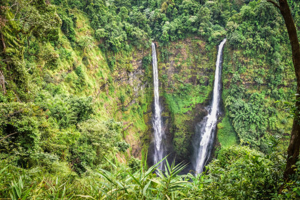 istock Tad Fan Waterfall, a waterfall on the Bolaven Plateau 1323353610