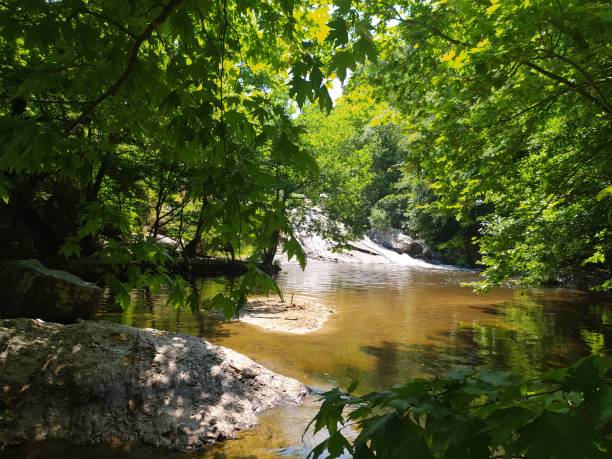 istock A weekend trip in Turkey, magnificent forests and river, lush nature and tranquility, postcard-like images 1323354445