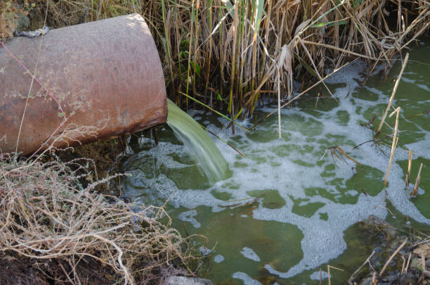 ecology subject: sewer pours out waste to the lake/sewage from the sewer pollutes a lake - sewage pond imagens e fotografias de stock