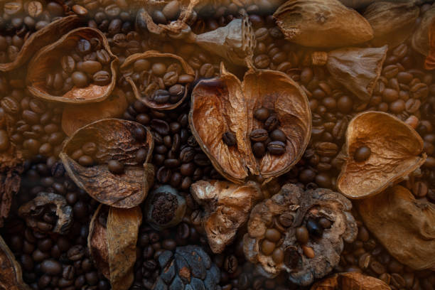 Dried fruits, coffee beans textured patterned background