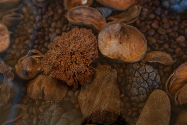 Dried fruits, coffee beans textured patterned background