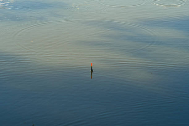 Quiet fishing. A lone float in the lake close-up.