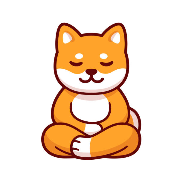 ilustrações, clipart, desenhos animados e ícones de desenho animado shiba inu cão meditando - yoga lotus zen like buddhism