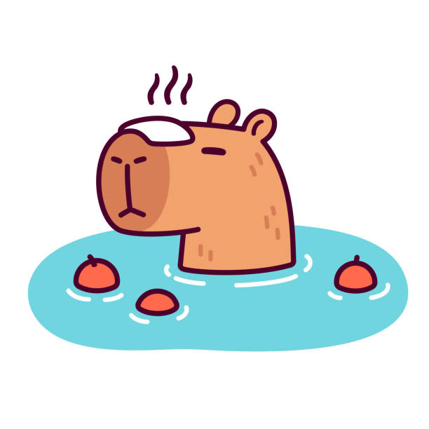 illustrations, cliparts, dessins animés et icônes de chat de dessin animé mignon en onsen japonais - capybara