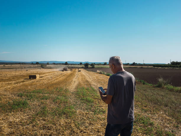 istock Farmer watching the mobile phone in the field with tractor packing the cereal straw, selective focus 1323360154