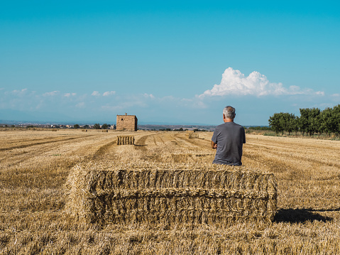 Senior farmer sitting on straw bale watching the field. Agriculture concept.